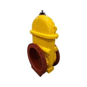 Donkin Series 555 Cast Iron Gate Valve, PUR Coated