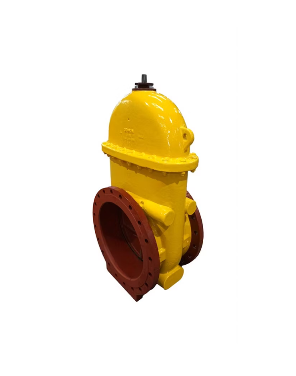 Donkin Series 555 Cast Iron Gate Valve, PUR Coated