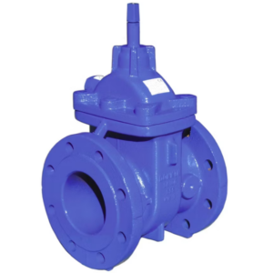 Donkin Series 555 Cast Iron Gate Valves