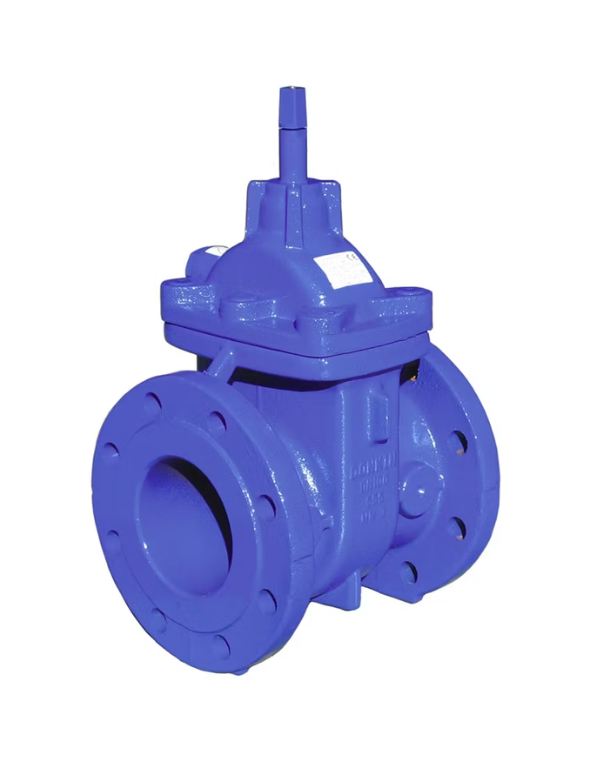 Donkin Series 555 Cast Iron Gate Valves