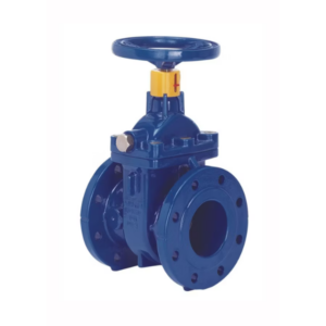 Donkin Series 555 Cast Iron Gate Valves