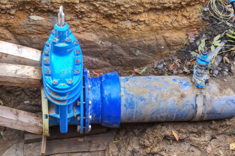 free butterfly valve image